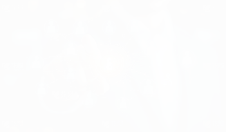 球速体育-权威的体育资讯、直播、数据一站式服务平台