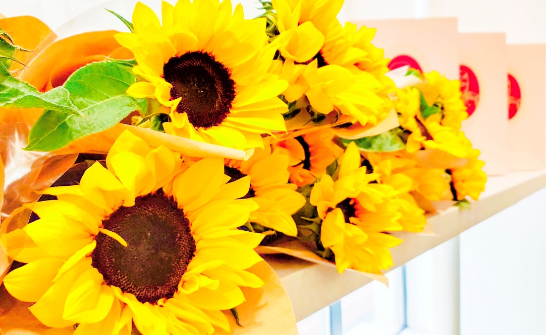 球速体育-权威的体育资讯、直播、数据一站式服务平台